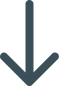 Down Arrow Icon